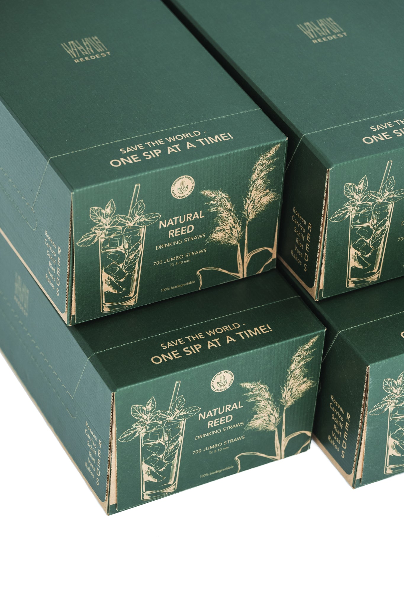 Regular Reed Straws (500 Pack) - 20 cm / 6-9mm